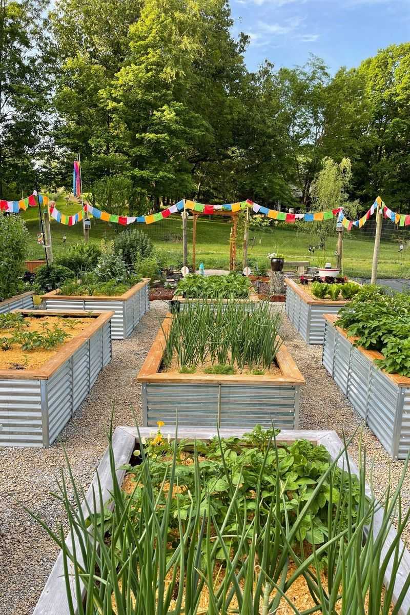 Try Metal Raised Beds For A Clean Modern Upgrade