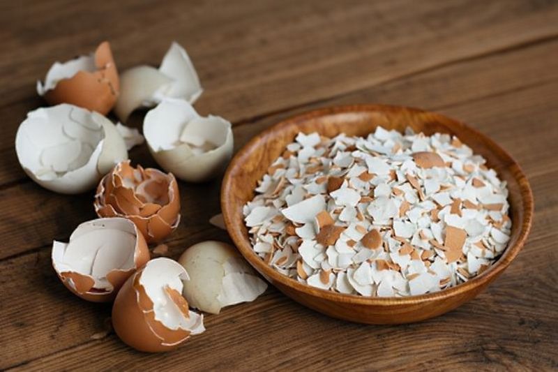 Crush Eggshells And Mix Them Into Compost For Calcium