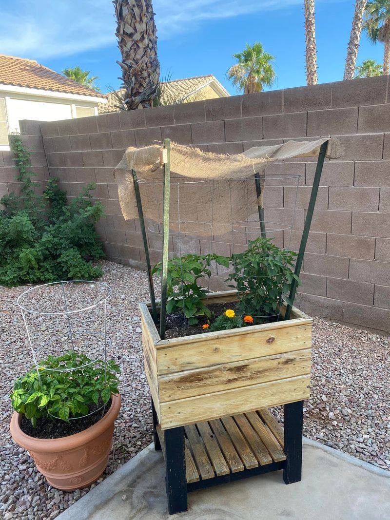 Provide Afternoon Shade During Peak Heat