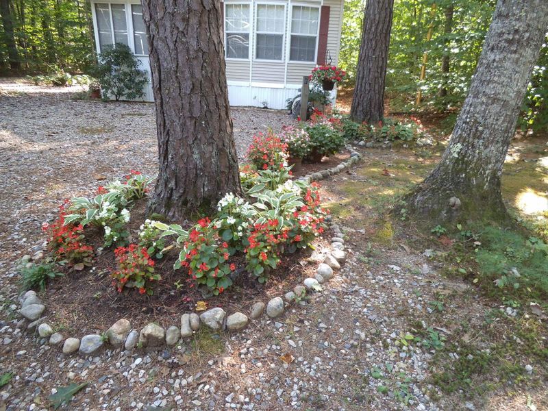 Use Woodland-Style Planting For A Natural Ohio Feel