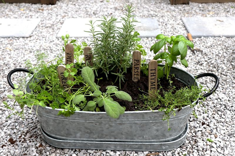 Consider Root Space, Not Just Plant Size