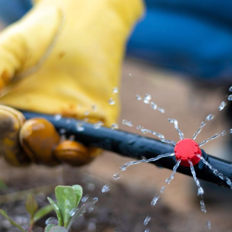 Check Drip Systems For Leaks And Uneven Coverage