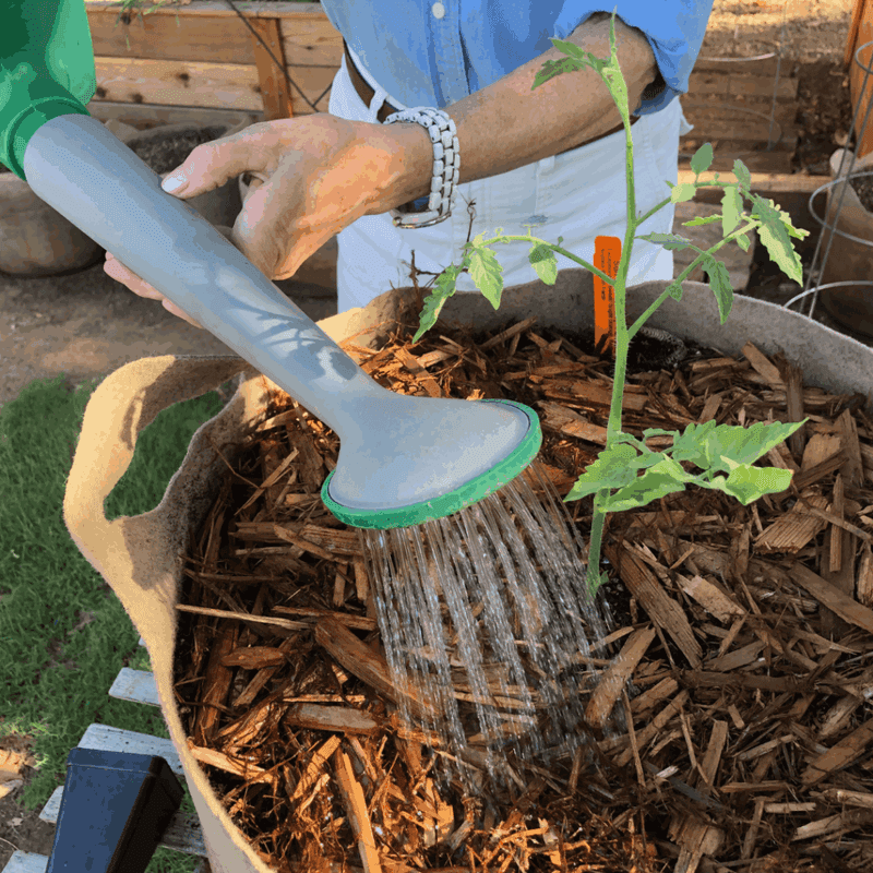 Watch Soil Drying Speed Instead Of Following A Fixed Schedule