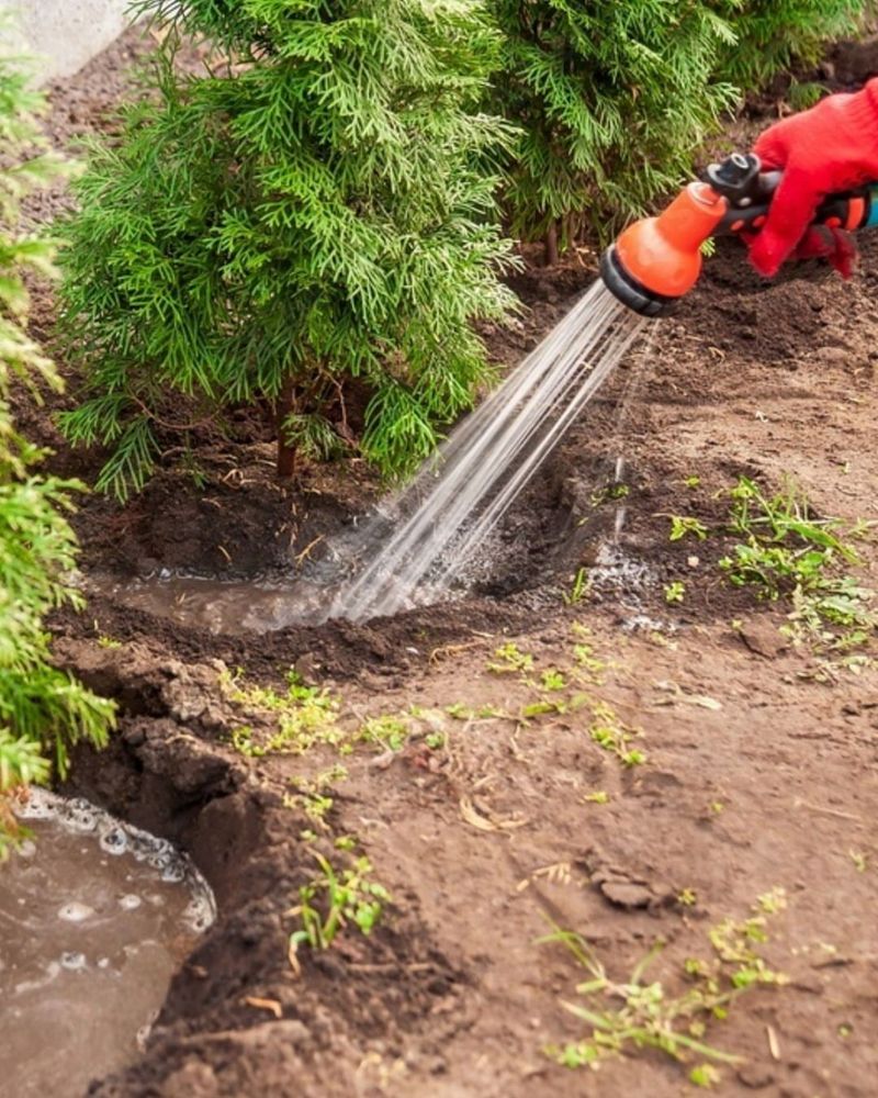 Watching Plants Closely For Early Signs Of Stress