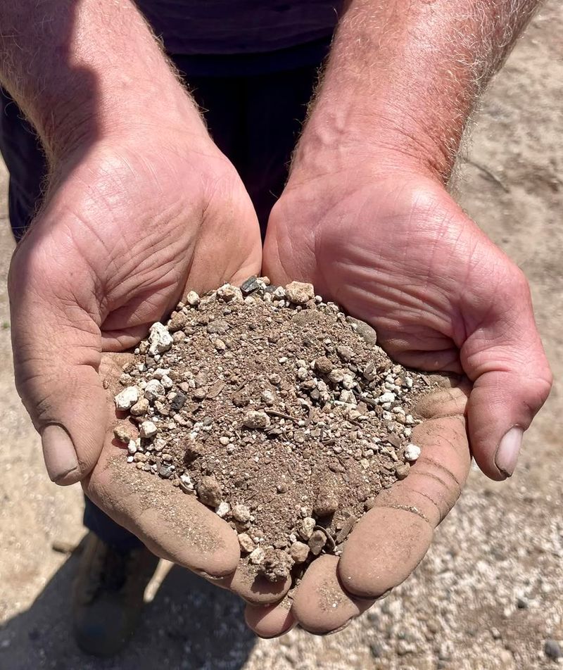 Use Well Draining Soil To Prevent Root Rot