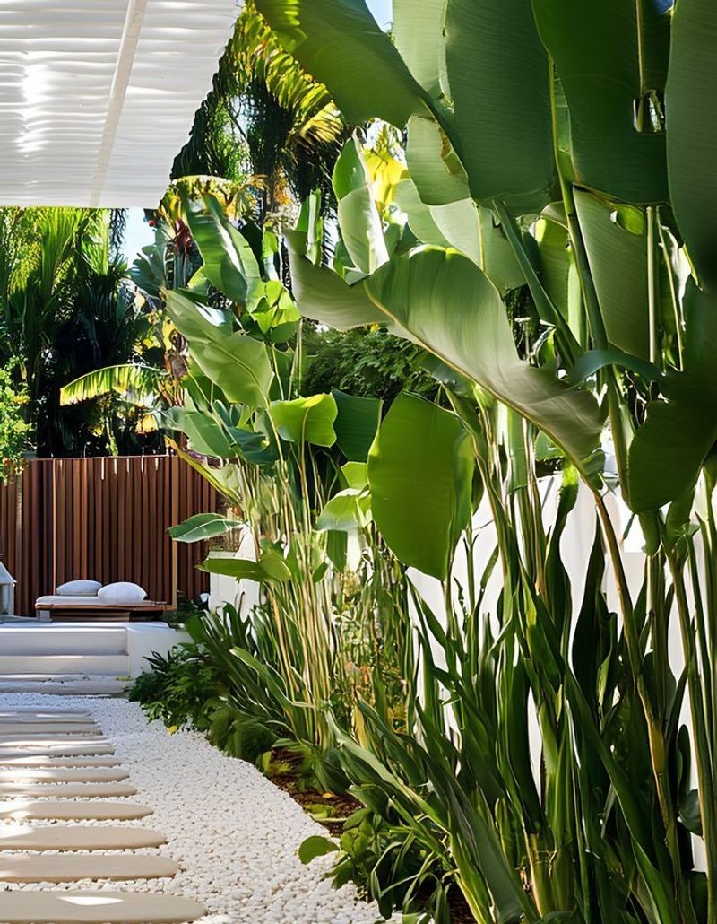 As A Privacy Plant With The Right Species