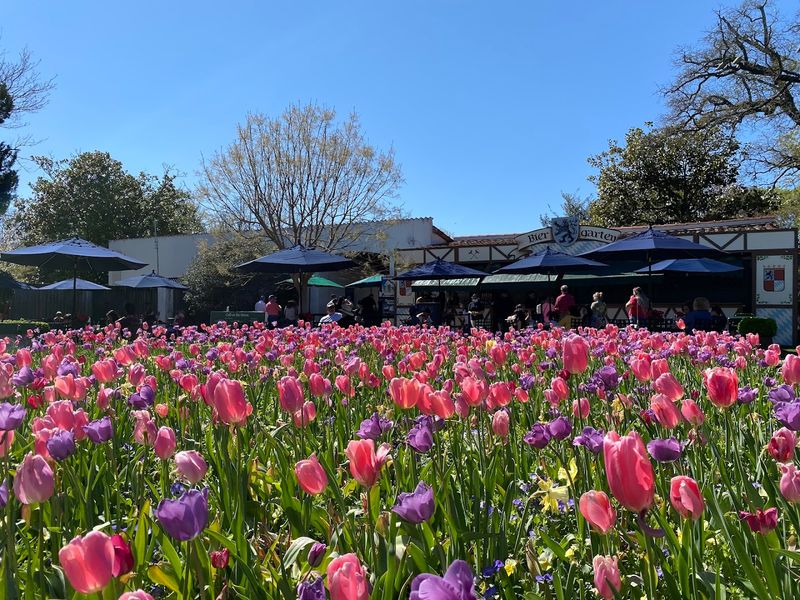 The Dallas Arboretum And Botanical Garden