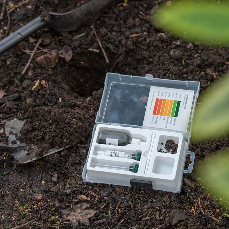 Check Soil pH And Keep It Slightly Acidic