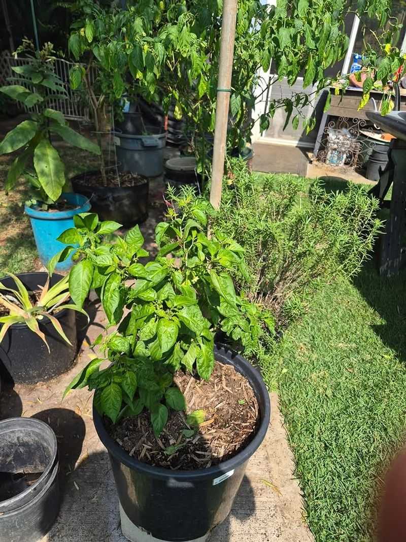 Know When Not To Use It