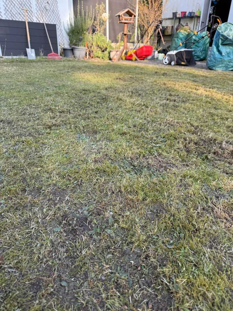 Overliming Can Create Imbalances And Should Be Avoided