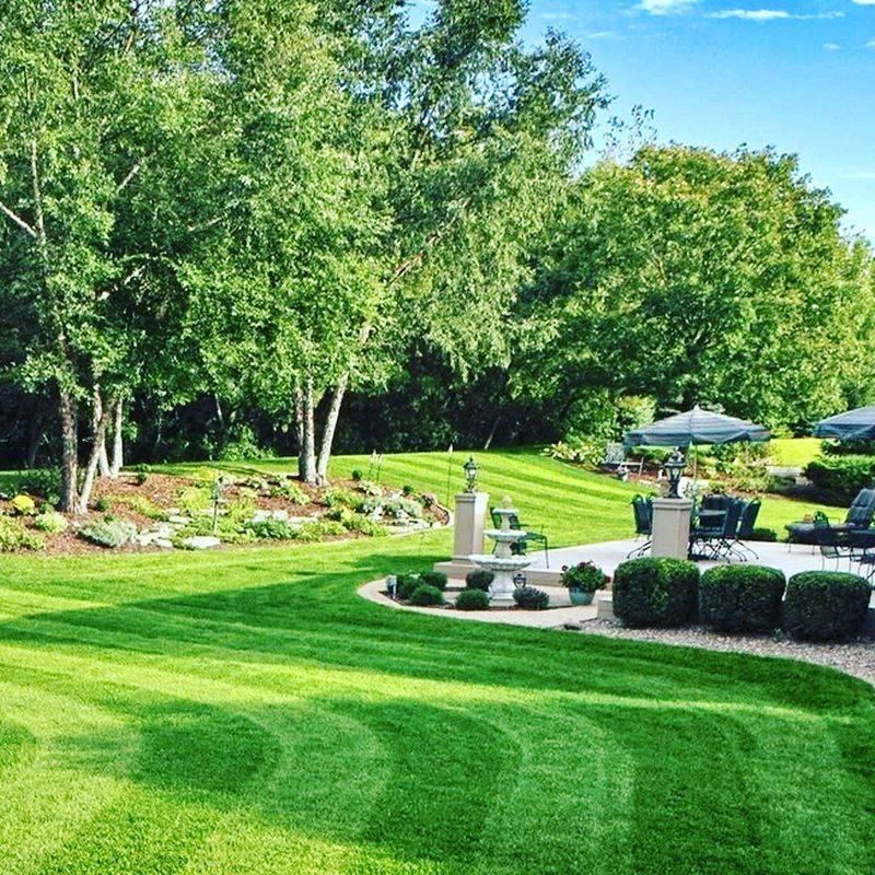 Why Feeding Now Builds Stronger Growth Before Heat