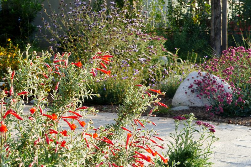 In Mixed Native Plant Combinations