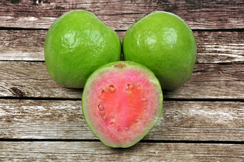 Guava (Psidium guajava)
