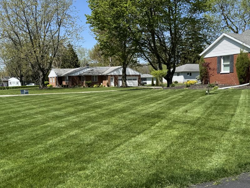 Skip Routine Lawn Applications