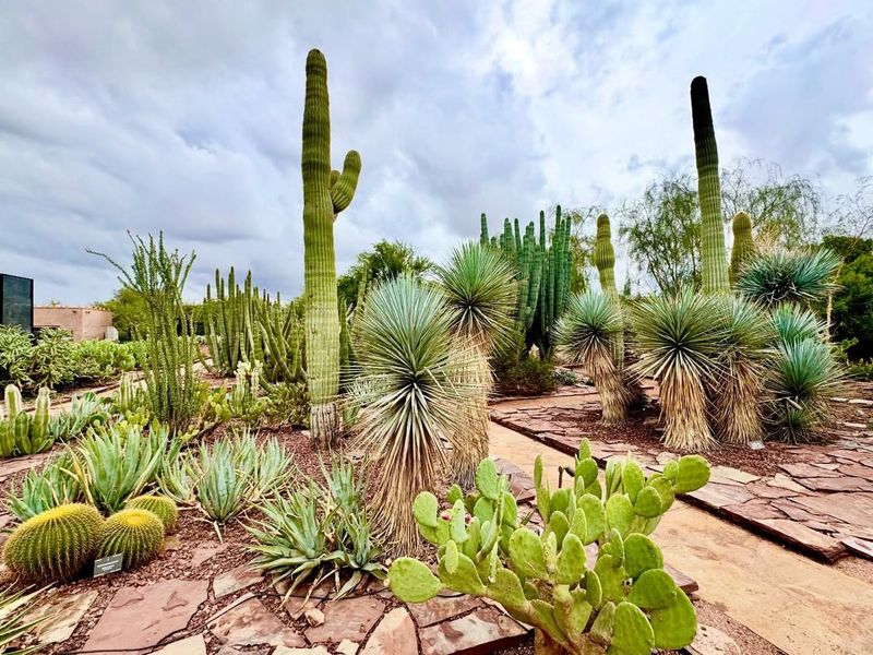 Clear Debris Around The Base To Prevent Rot