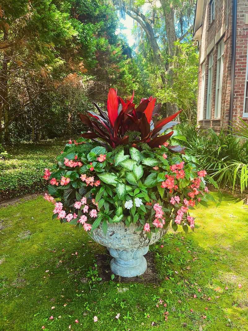 Spring Blooms Create A Dramatic Entryway