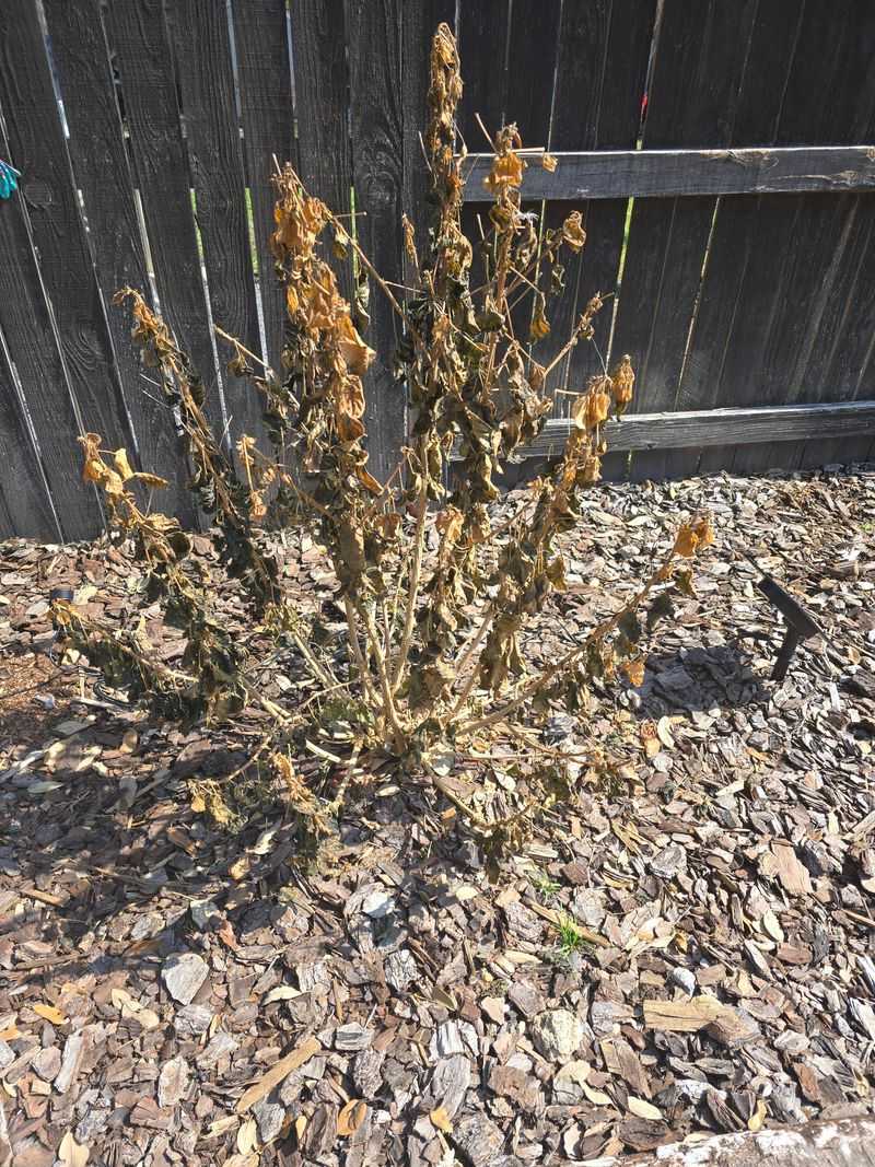 Cold Snaps Can Hit Faster Than Expected