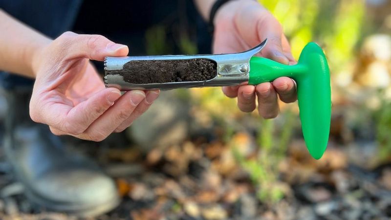 Why North Carolina Gardeners Should Test Their Soil First