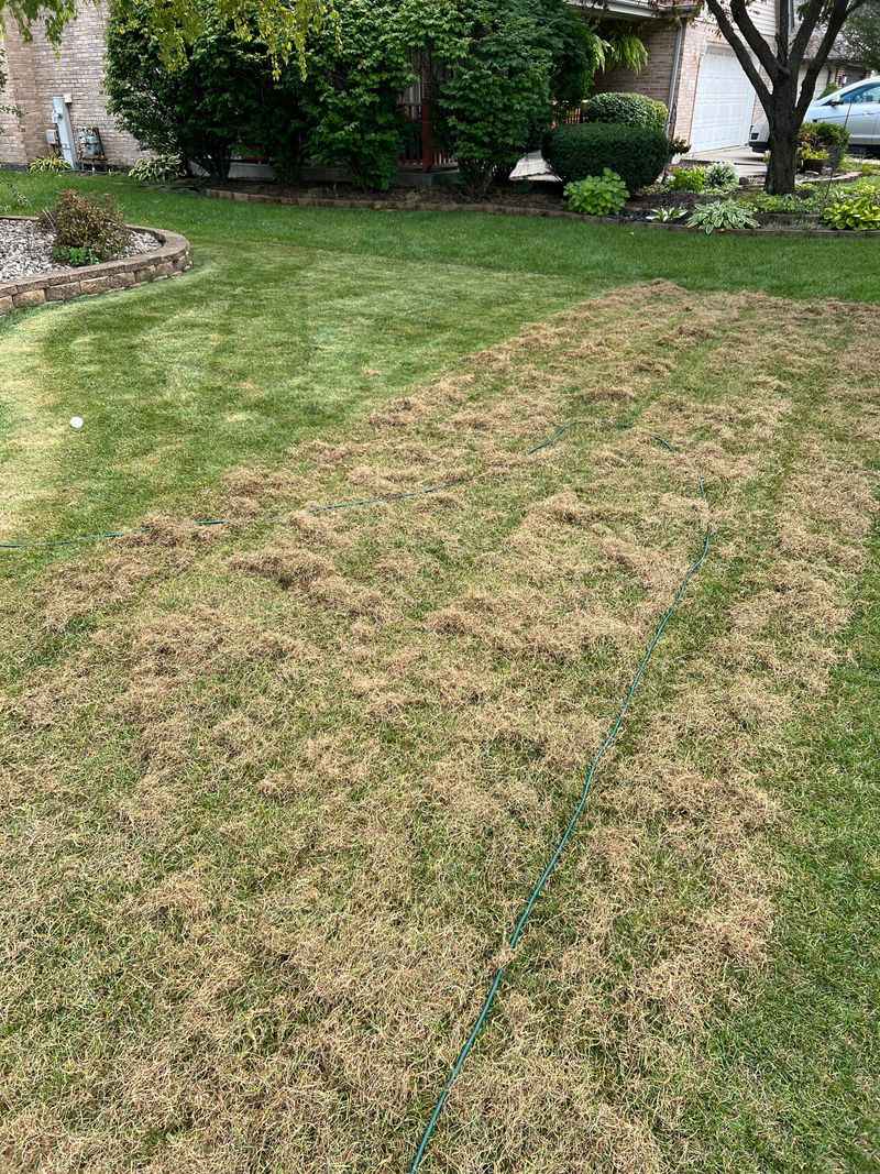 Scalping Weakens The Whole Lawn