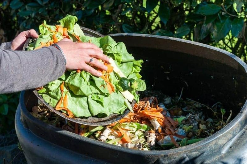 Compost Improves Soil But Dries Faster On Top