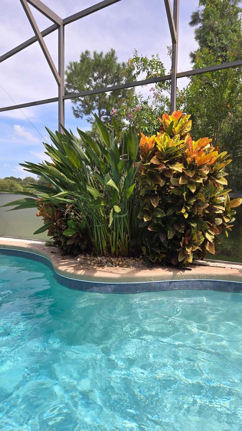By The Pool For A Resort-Style Look