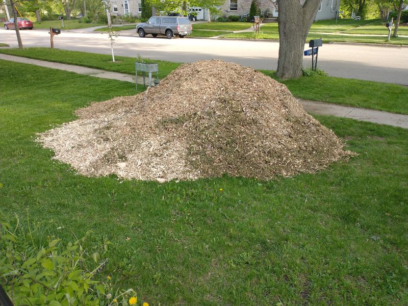 When To Apply Before Summer