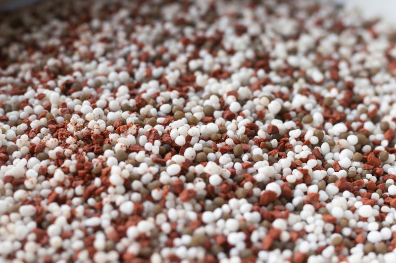 A Balanced Slow-Release Fertilizer In Spring