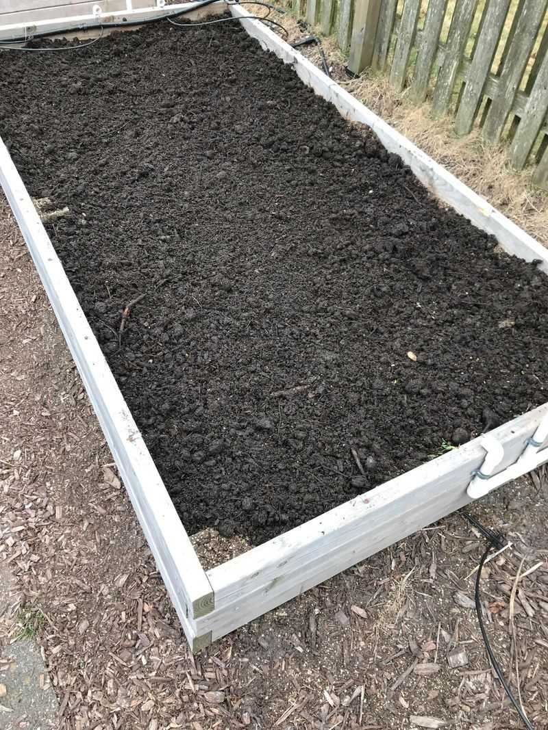 Fresh Compost