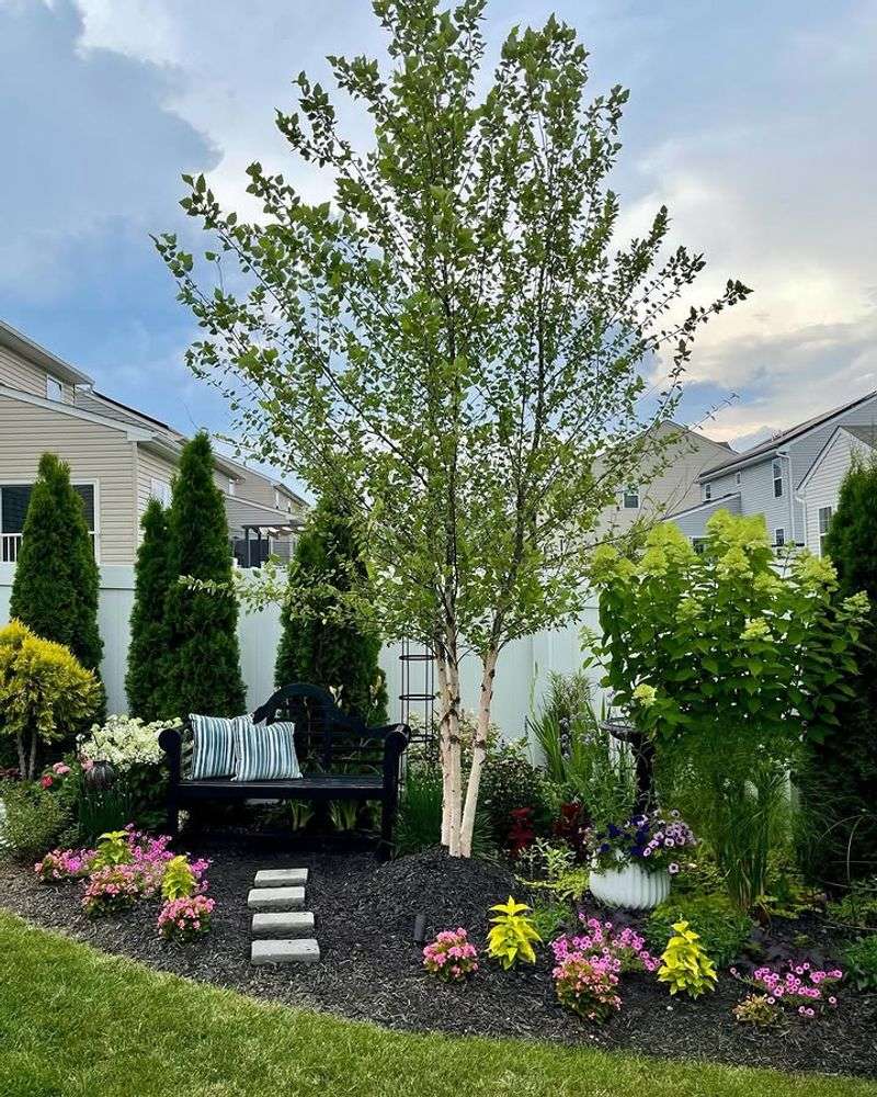 River Birch Adds Texture With Peeling Bark