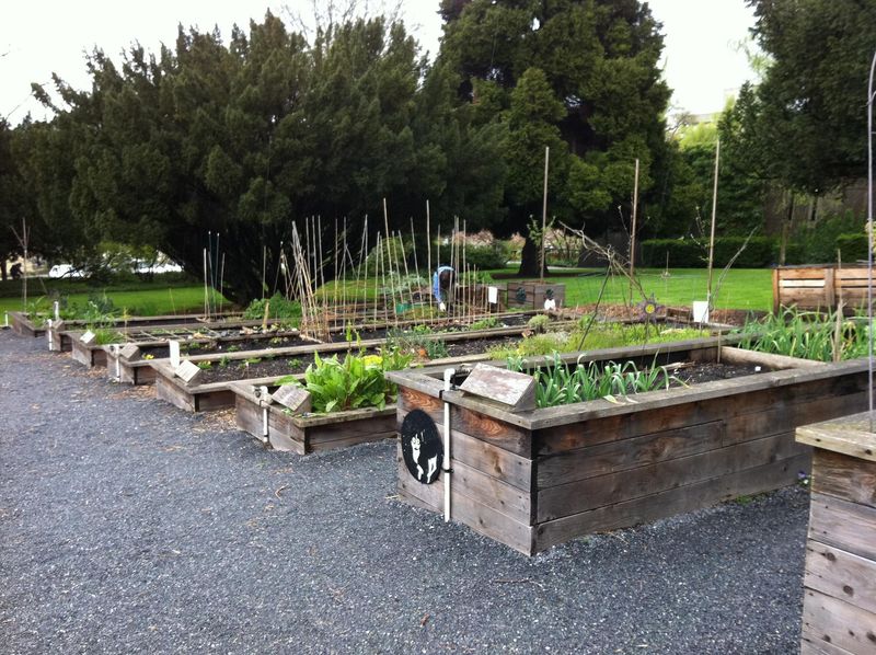 Keep Foot Traffic Out Of Raised Beds To Protect Soil Structure