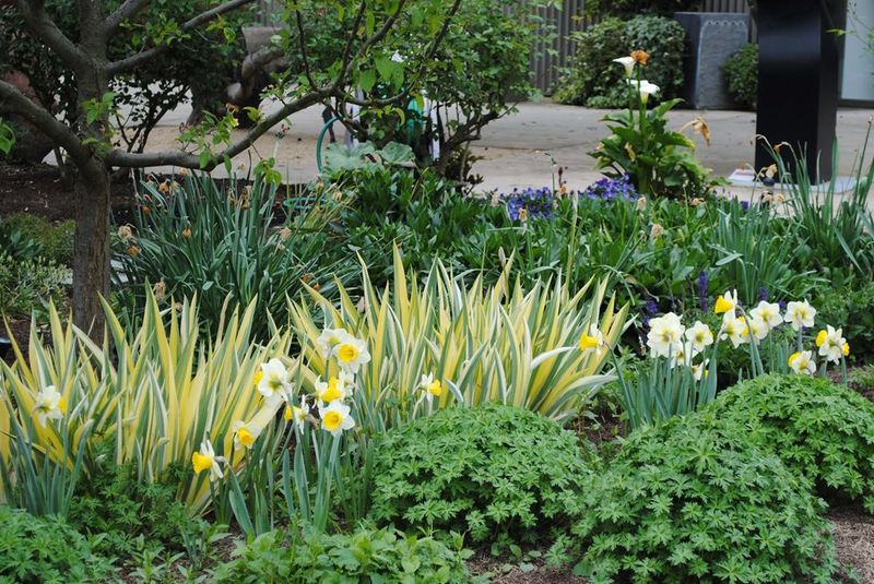 Established Perennials Kick Off Strong With Light Feeding