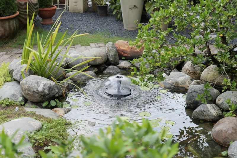 Water Features Need Movement To Stay Safer