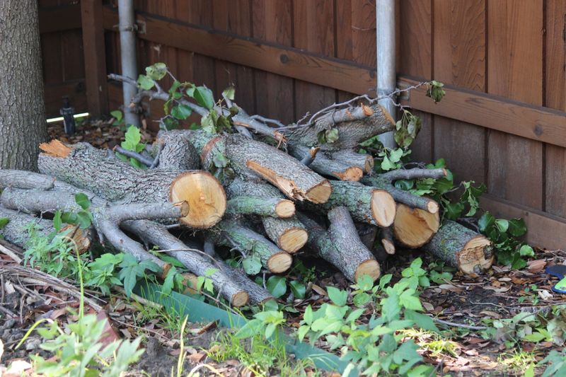 Wood Piles And Debris Piles Round Out The Risk