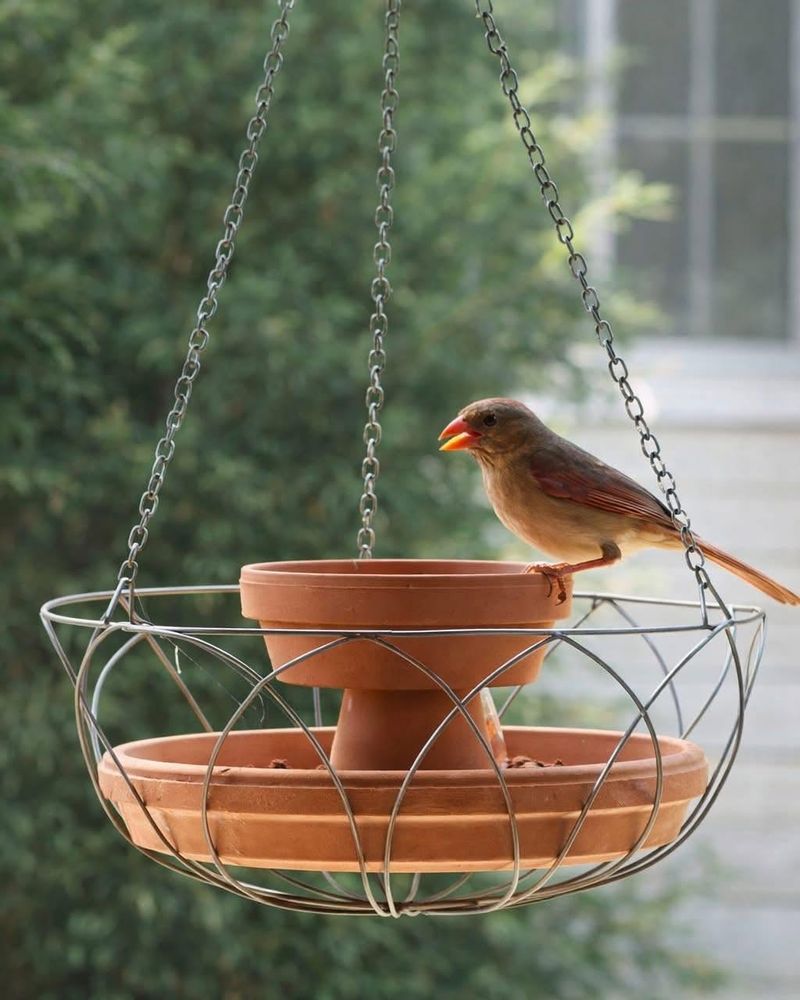 Hanging Water Dish For An Elevated Water Stop