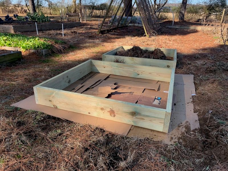 Add Cardboard To Suppress Weeds Before Filling