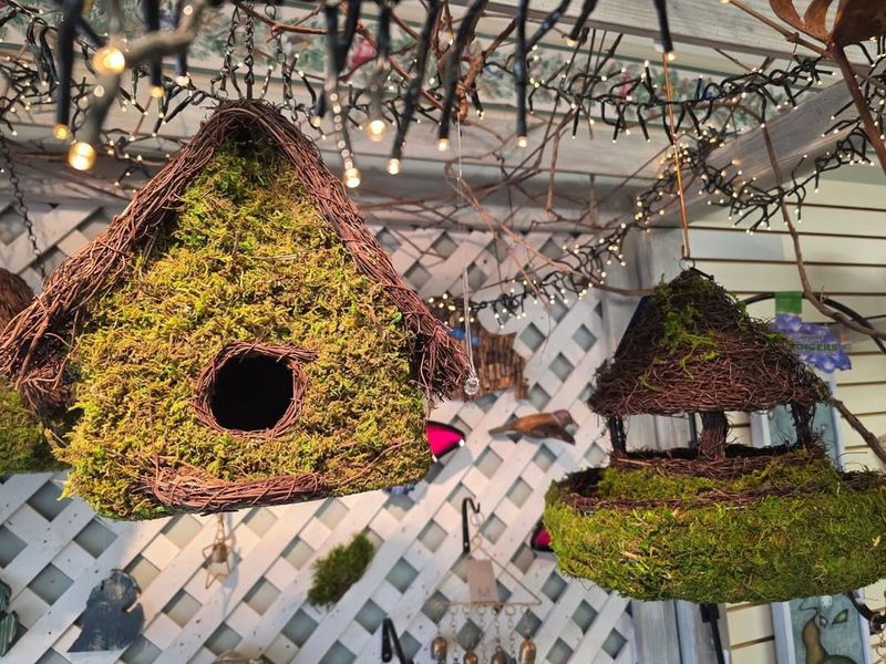 Repurpose A Hanging Basket For Nesting Use