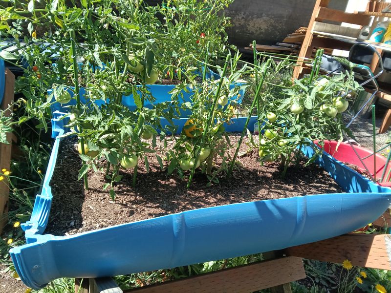 Choose The Warmest, Sunniest Spot In Your Garden