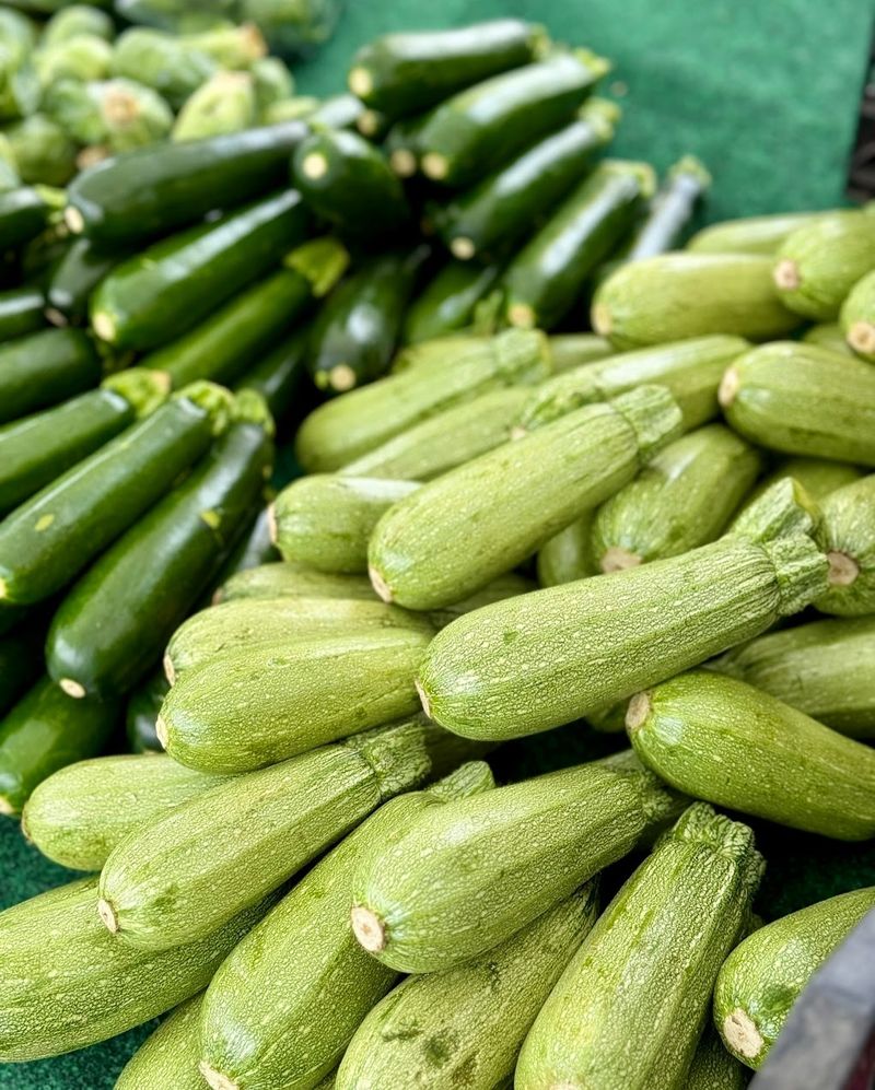 Summer Squash That Just Keeps On Giving