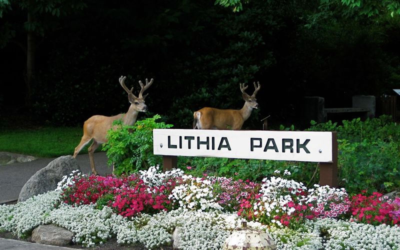 Lithia Park