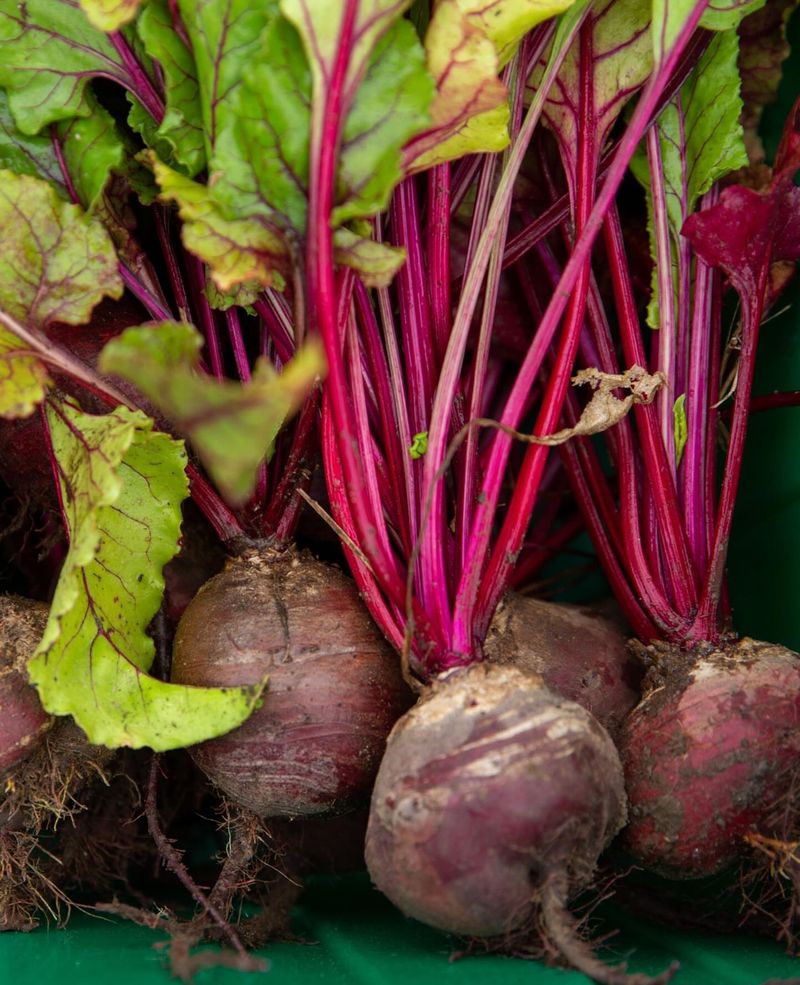 Beets