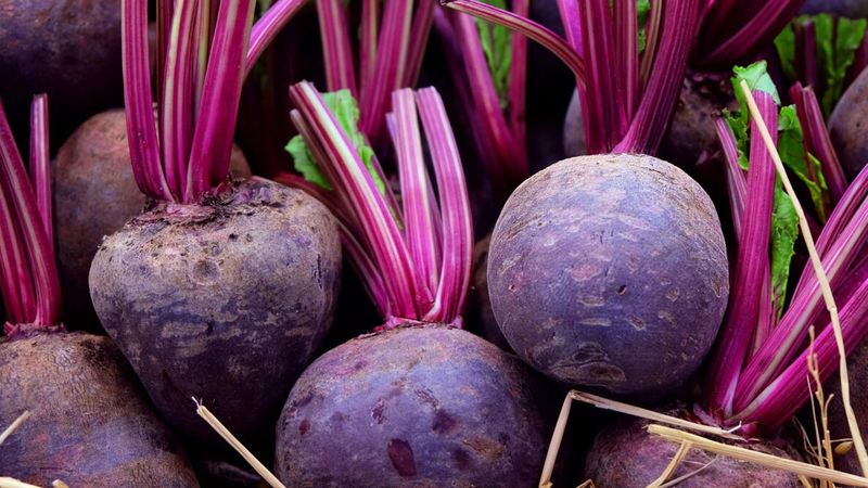 Beets For Both Roots And Greens