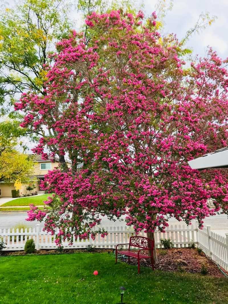 Water Consistently During Dry Spring Periods