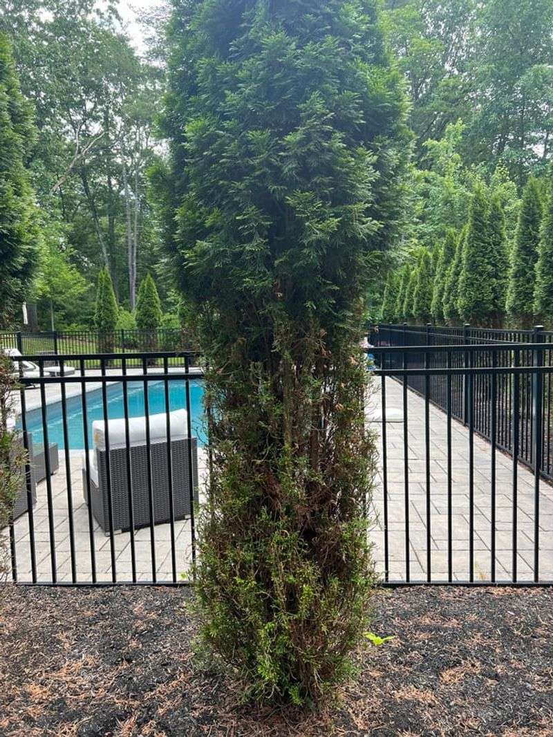 Look Inside The Plant For Untouched Green Growth