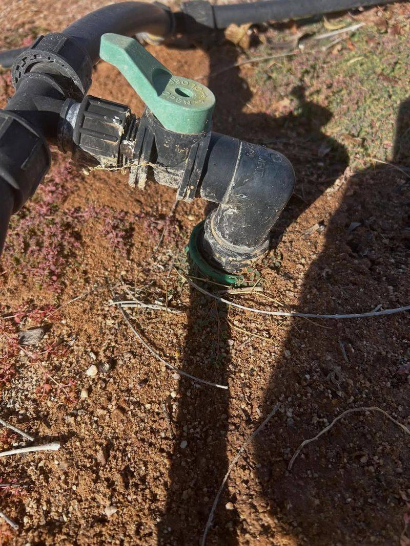 Reduce Watering On Cooler Or Windy Days To Avoid Overwatering