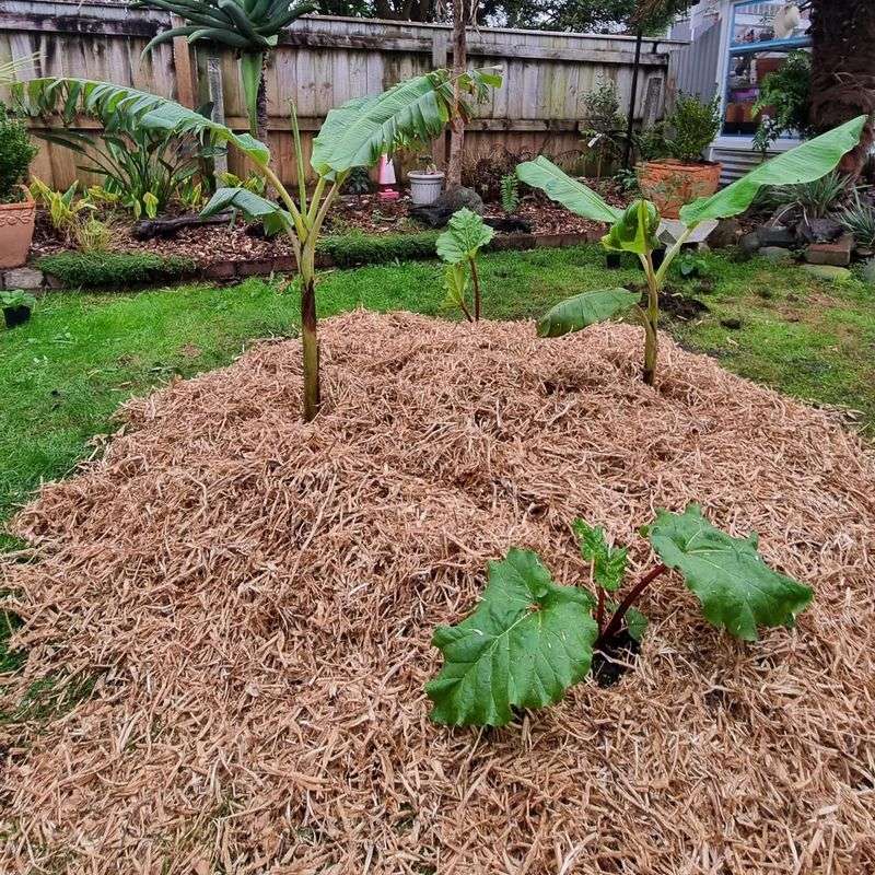 Add Fresh Mulch To Lock In Moisture And Nutrients