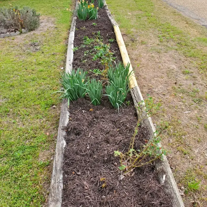 Add Mulch To Keep Soil From Drying Out Too Fast
