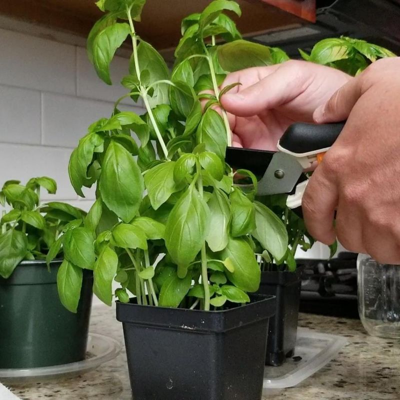 Make A Clean Cut Below A Node