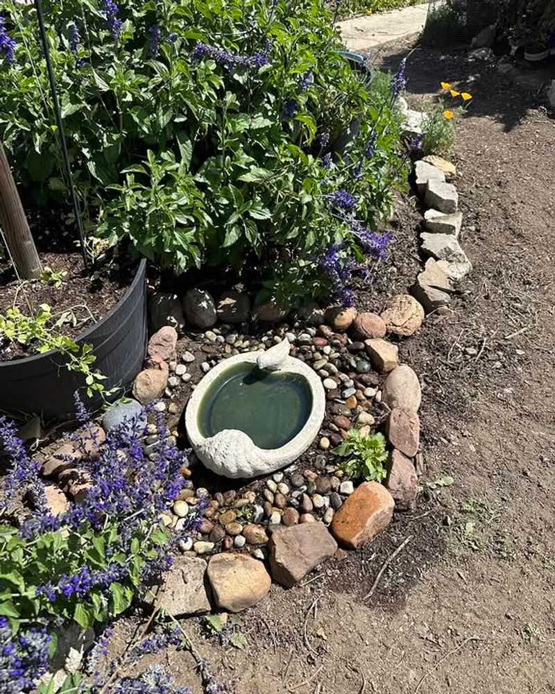 Provide A Shallow Water Source For Drinking