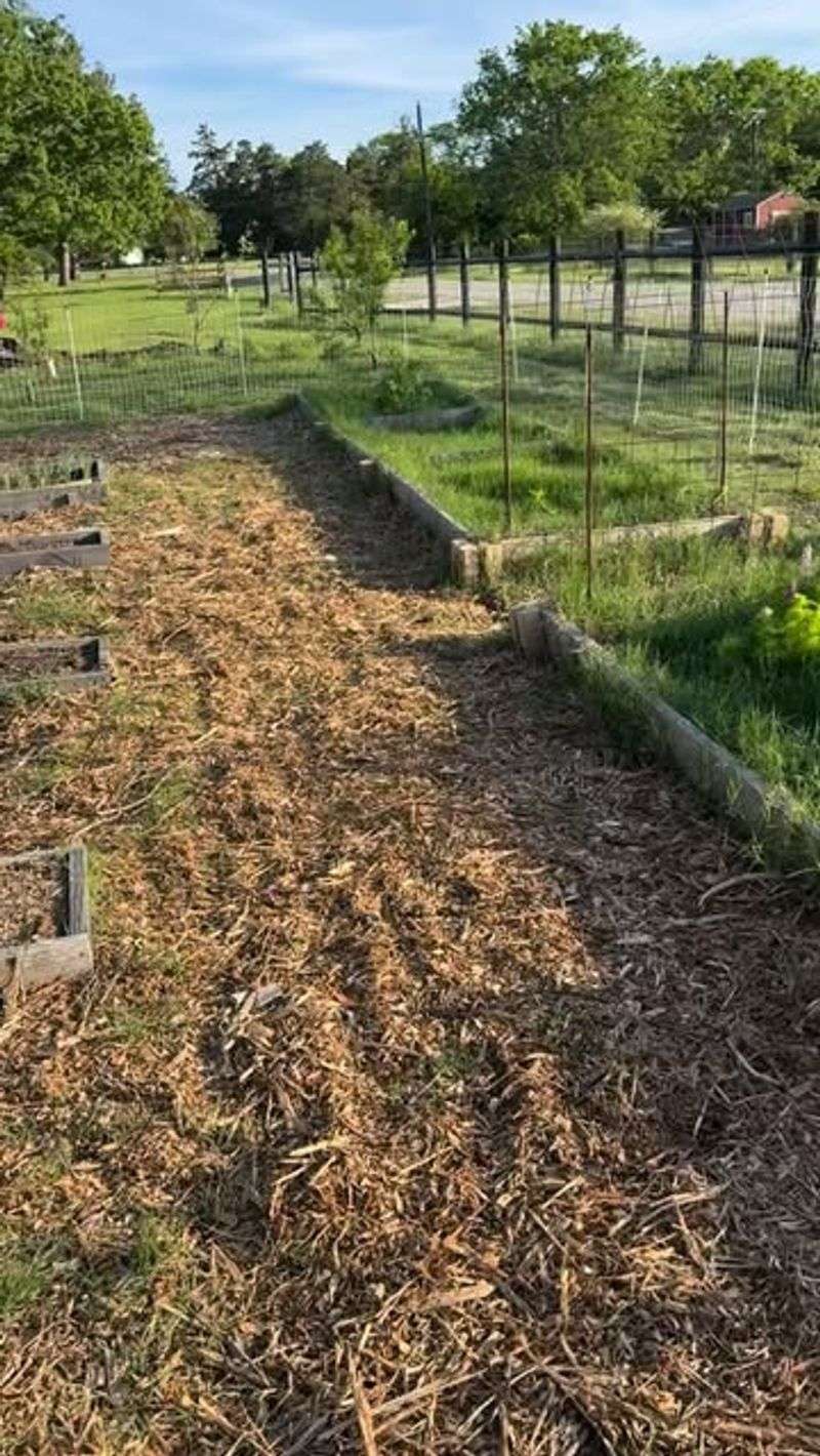 Time Your Mulching Differently Depending On Your Zone