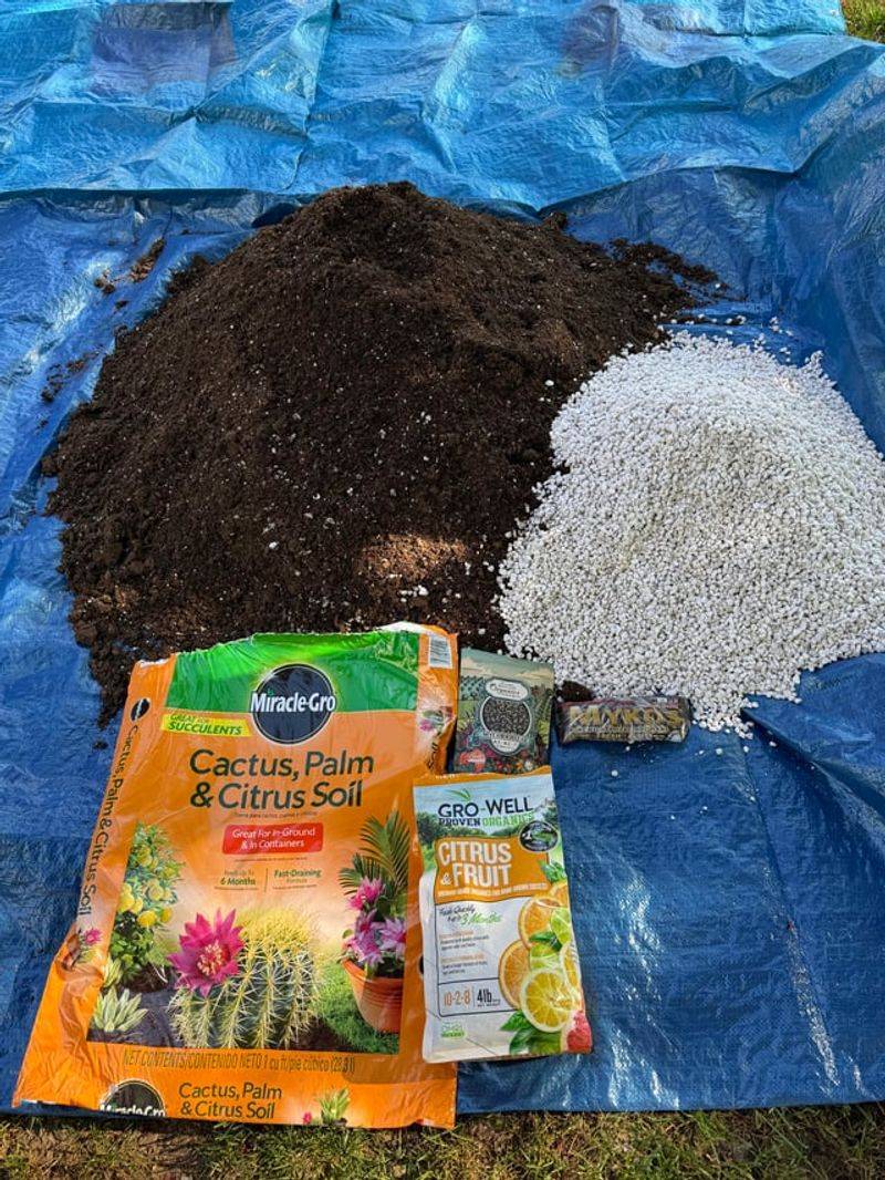 Use A Fast Draining Soil Mix To Prevent Root Issues